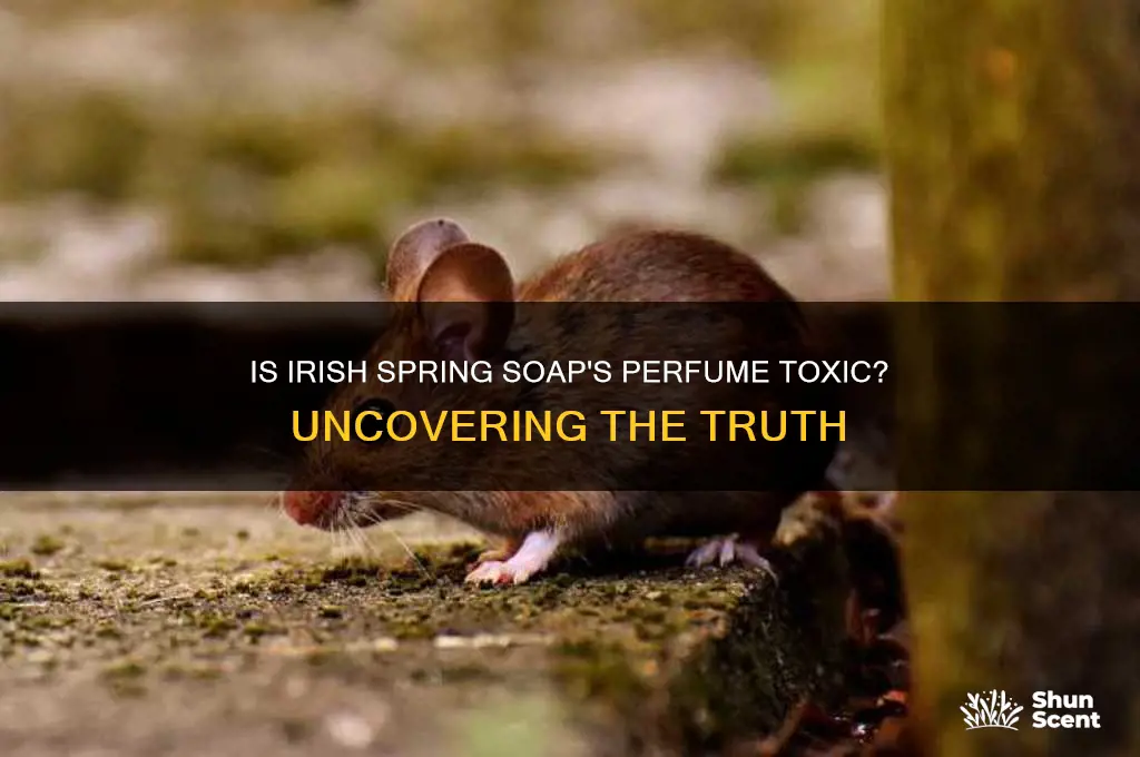 is the perfume in irish spring soap toxic