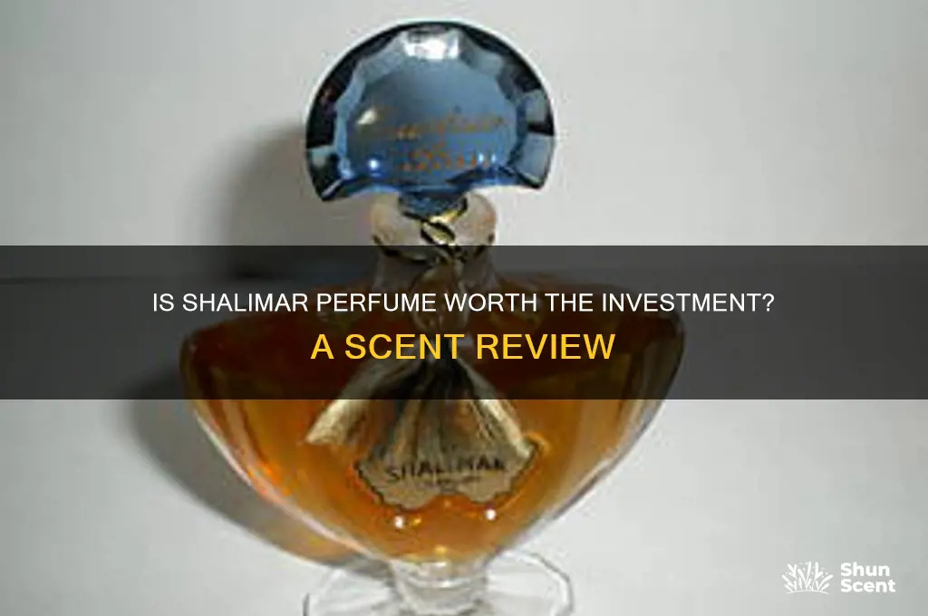 is the perfume shalimar worth the money