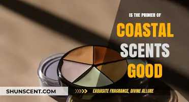 Exploring the Quality of Coastal Scents Primer: A Comprehensive Review