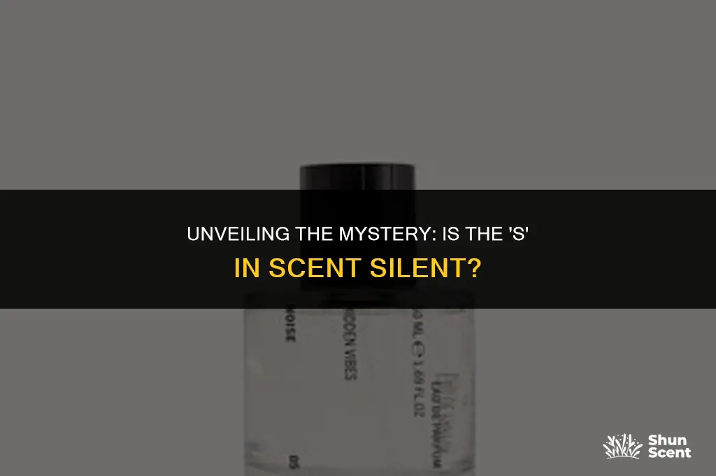 is the s in scent silent