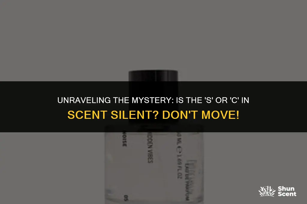 is the s or c in scent silent dont move
