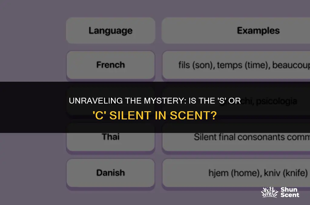 is the s or c silent in scent joke