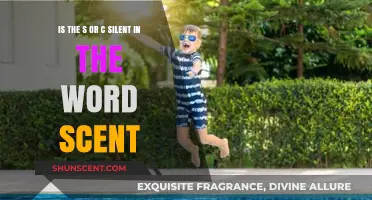 Unraveling the Mystery: Is the 'S' or 'C' Silent in 'Scent'?