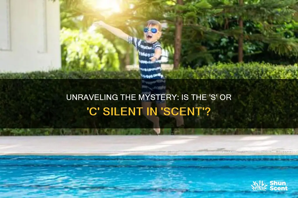 is the s or c silent in the word scent