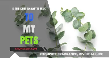 Pet Safety Guide: Understanding Eucalyptus Toxicity for Your Furry Friends