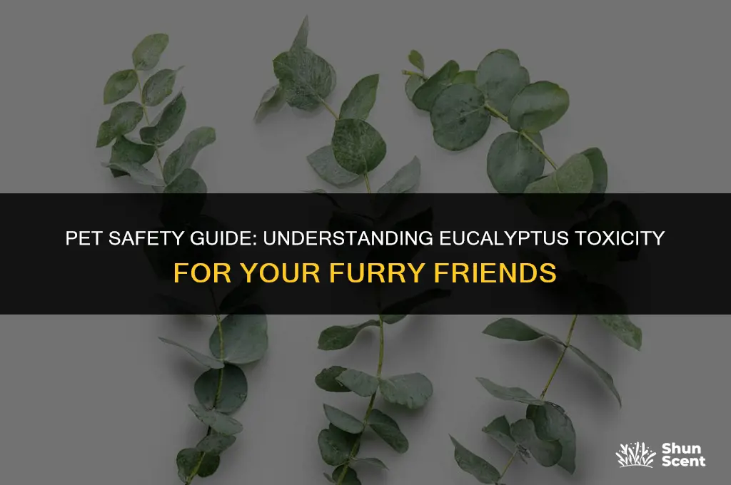 is the scent eucalyptus toxic to my pets