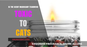 Exploring the Safety of Mahogany Teakwood Scent for Feline Friends