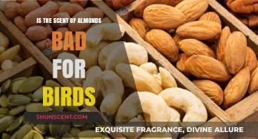 The Truth About Almonds: Are They Safe for Our Feathered Friends?