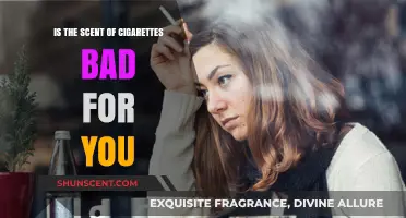 The Unseen Danger: How Cigarette Smoke Affects Your Health