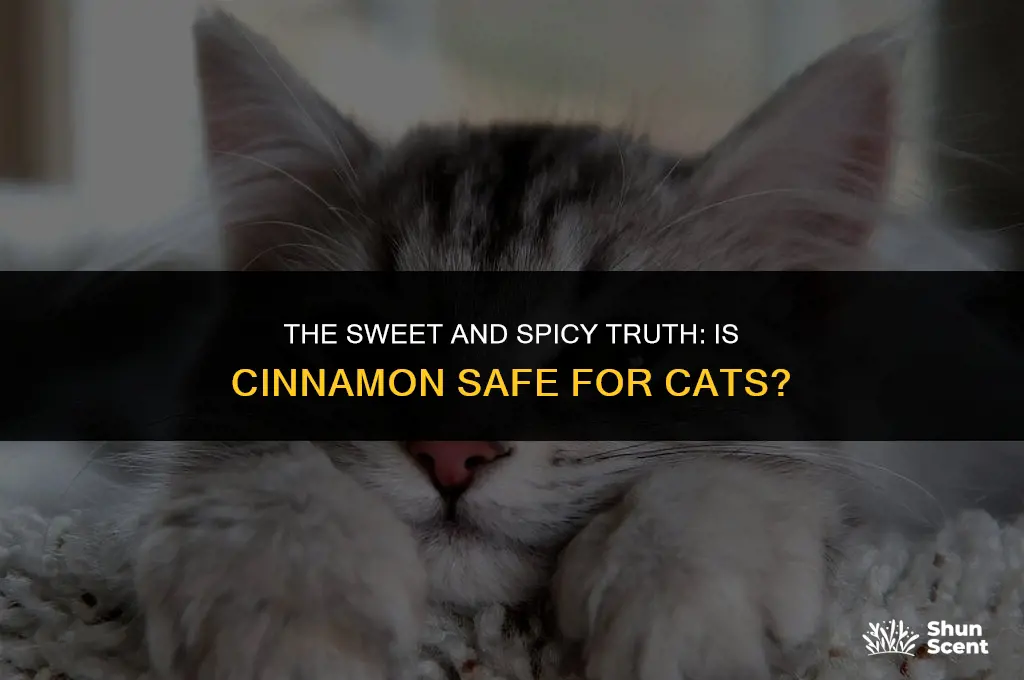 is the scent of cinnamon bad for cats