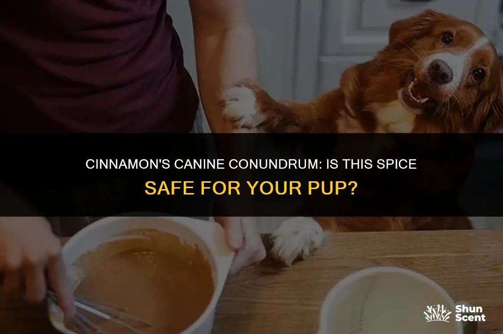 is the scent of cinnamon bad for dogs