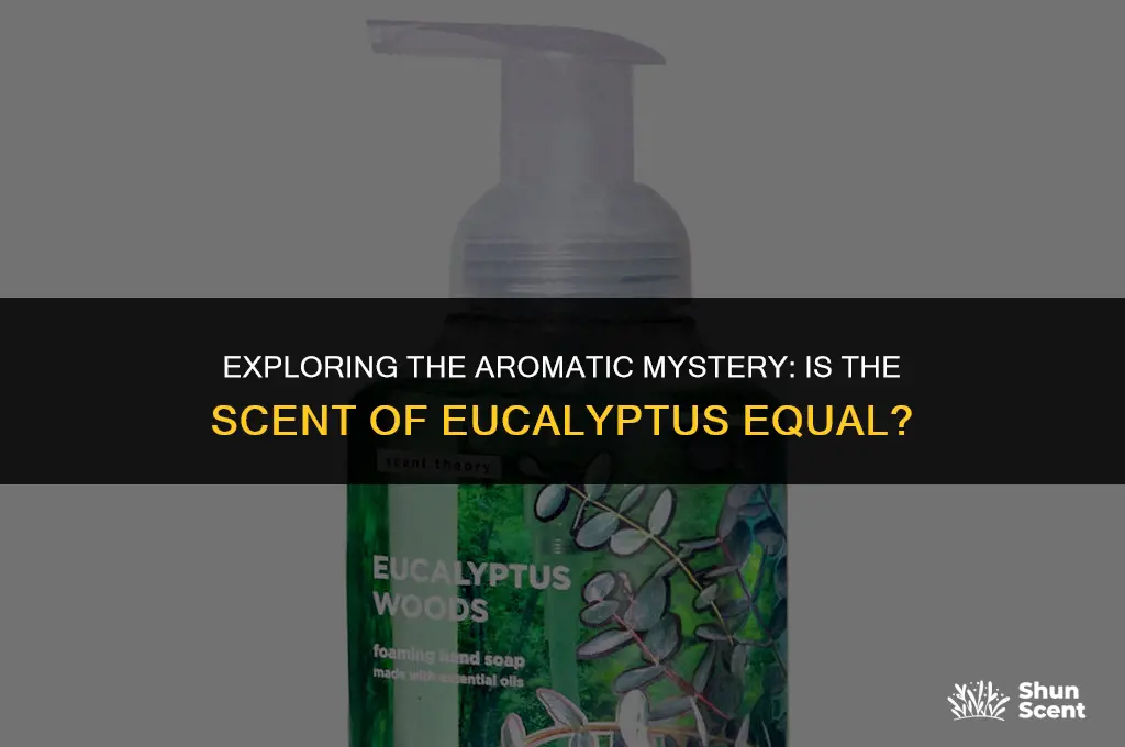 is the scent of equaliptus