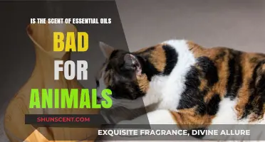 Are Essential Oils Safe for Pets: Unveiling the Truth