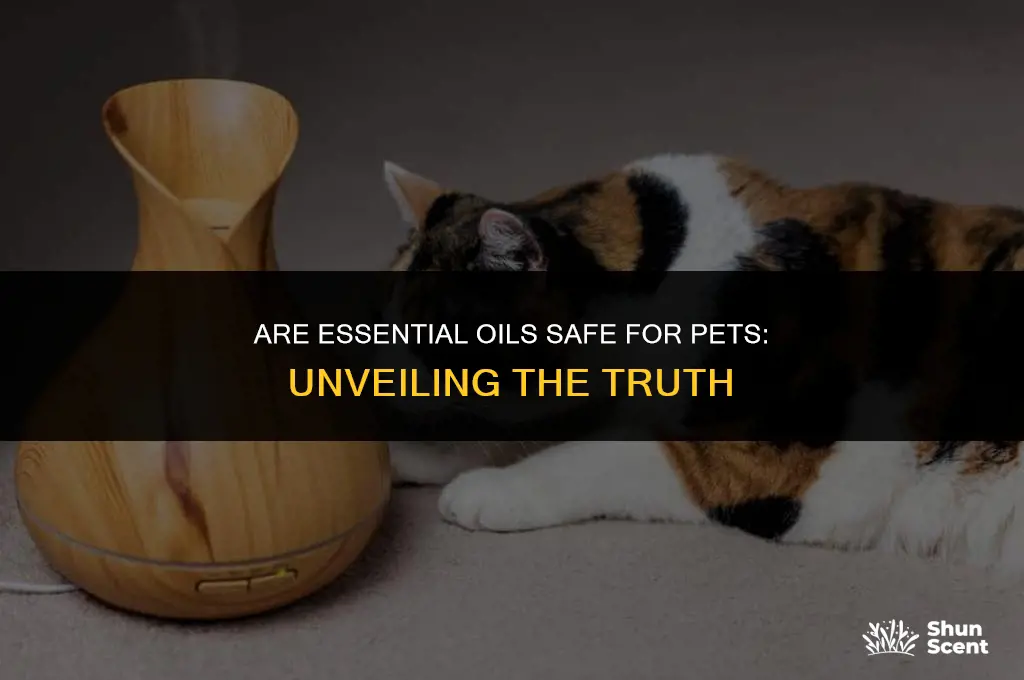 is the scent of essential oils bad for animals