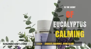 Unwind with Eucalyptus: Exploring Nature's Calming Scent