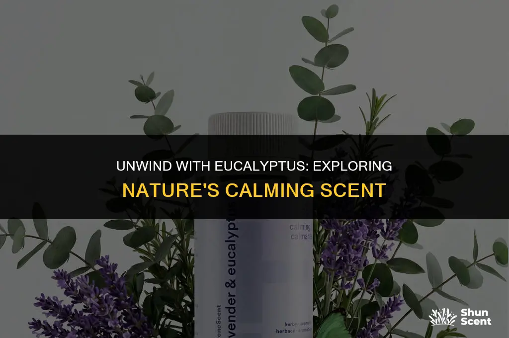 is the scent of eucalyptus calming