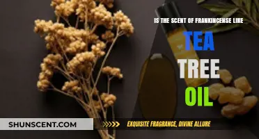Exploring Aromas: Frankincense and Tea Tree Oil Compared