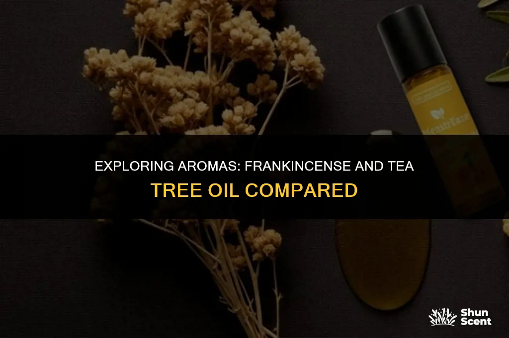 is the scent of frankincense like tea tree oil