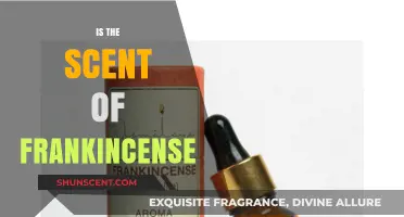 Unveiling the Mystique: Is the Scent of Frankincense a Key to Wellness?