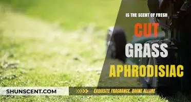 The Alluring Aroma of Fresh Cut Grass: Nature's Aphrodisiac?