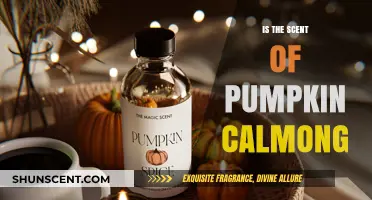 Unveiling the Tranquil Truth: Is Pumpkin Scent Really Calming?