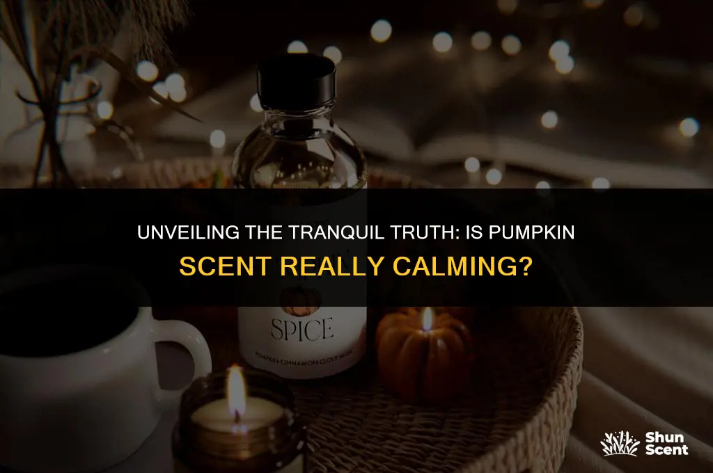 is the scent of pumpkin calmong