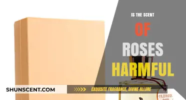 The Hidden Dangers of Rose Fragrance: Unveiling the Truth