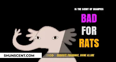 The Impact of Sharpie Fumes on Rat Health: A Comprehensive Guide