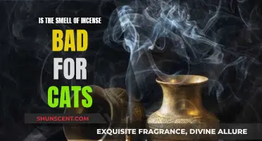 Incense and Cats: A Toxic Relationship?