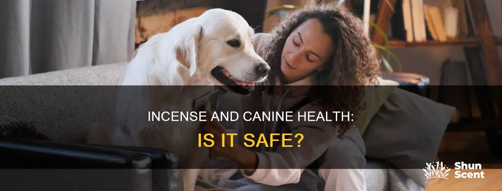 is the smell of incense bad for dogs