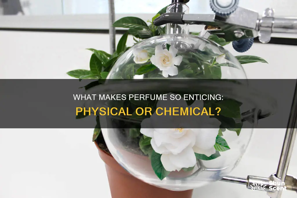 is the smell of perfume a physical or chemical property
