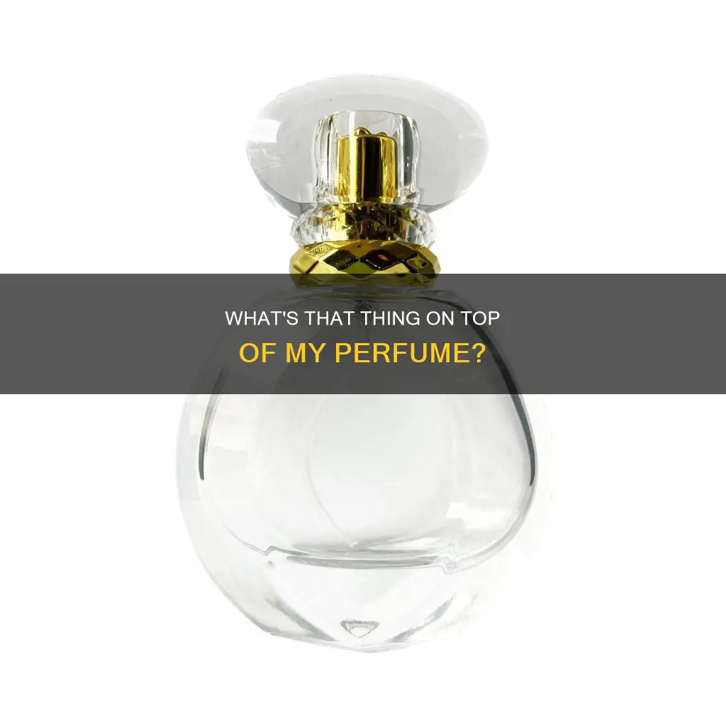is the top of a perfume bottle called a dabber