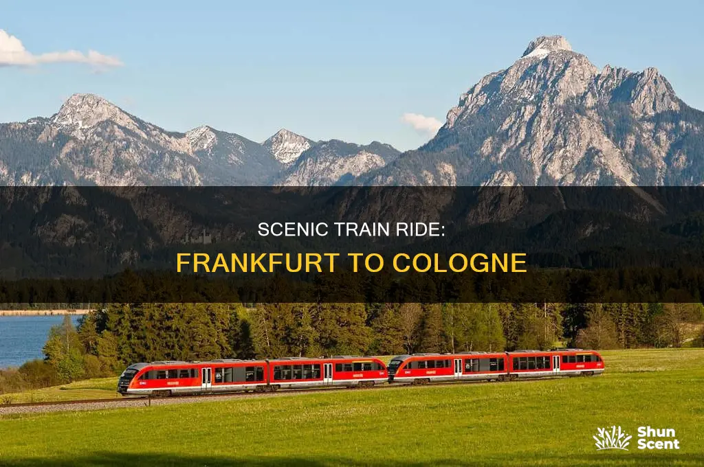 is the train from frankfurt to cologne scenic