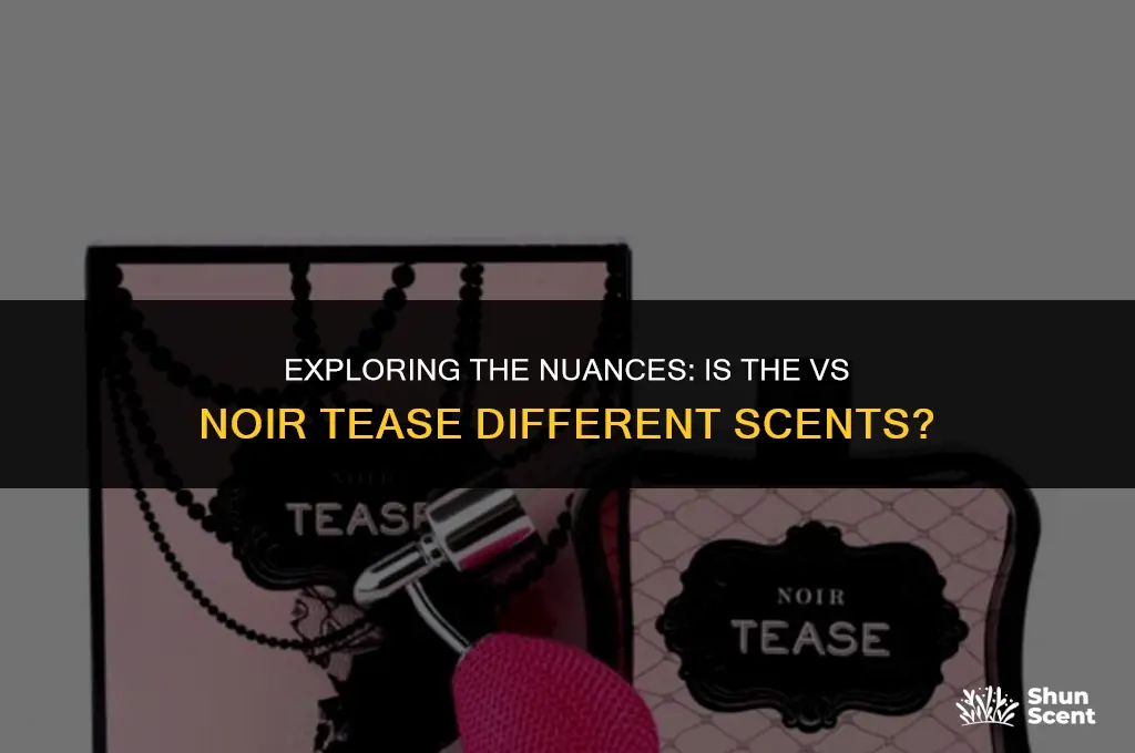 is the vs noir tease and tease differnt scents