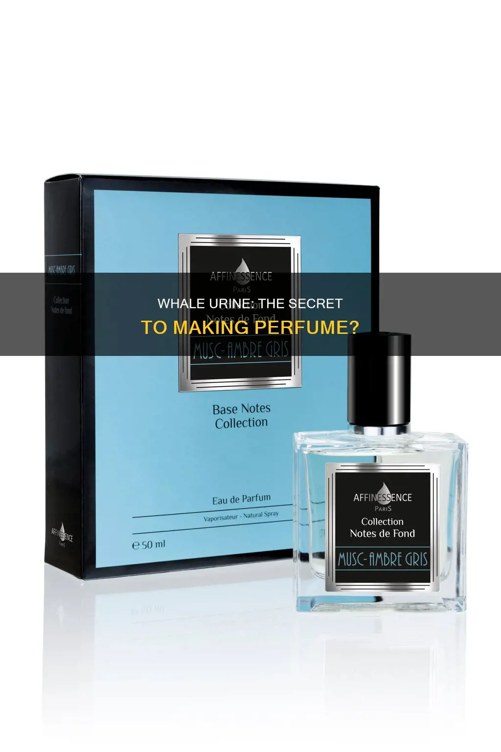 is the whales urine used to make perfume