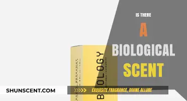 Unveiling the Mystery: Is There a Biological Basis for Scent?