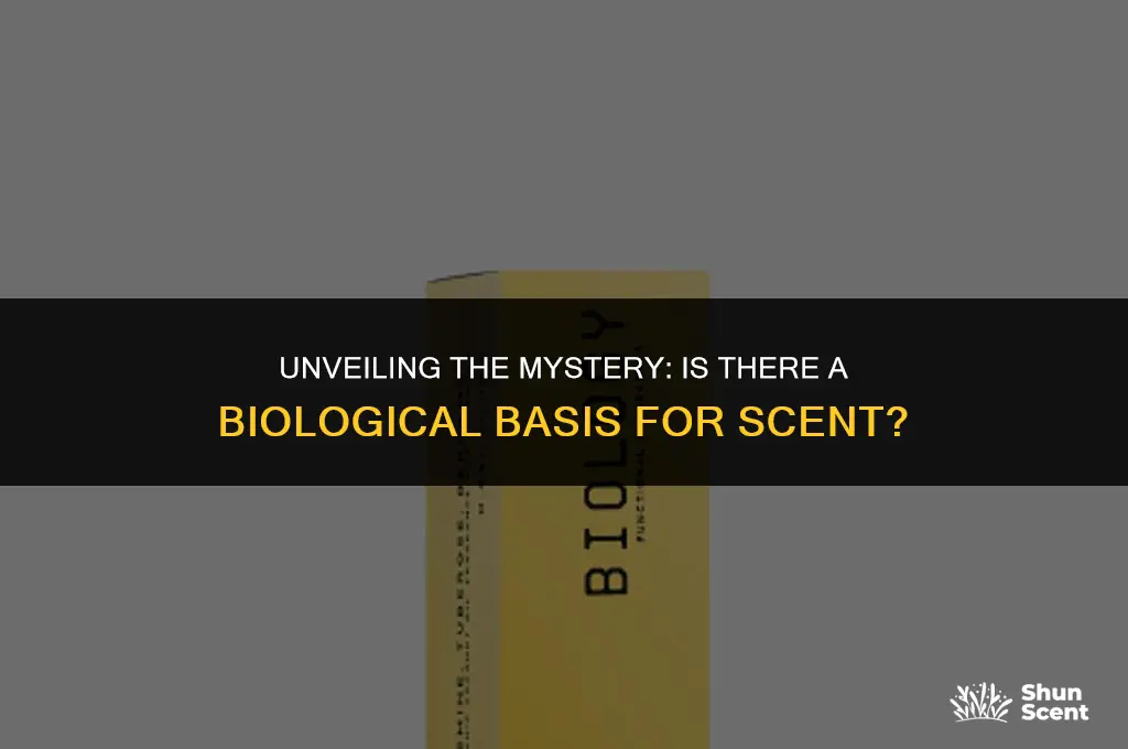 is there a biological scent