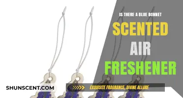 Discover the Freshness: Blue Bonnet Scented Air Freshener Review