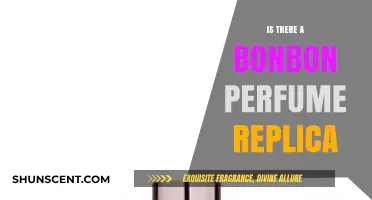 Discovering Affordable Alternatives: Is There a Bonbon Perfume Replica?