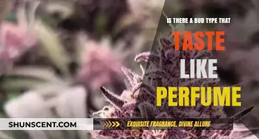 Buds with a Scent: Exploring Perfume-Like Cannabis Flavors