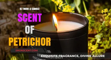 Exploring the Essence of Petrichor: Can You Scent the Rain?