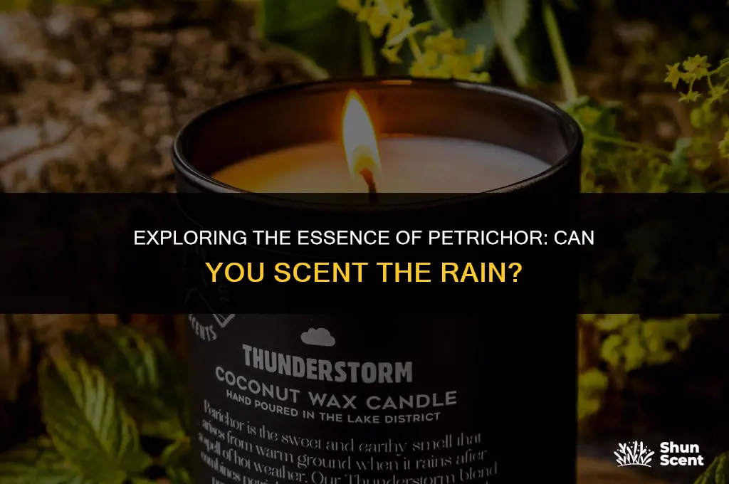 is there a candle scent of petrichor