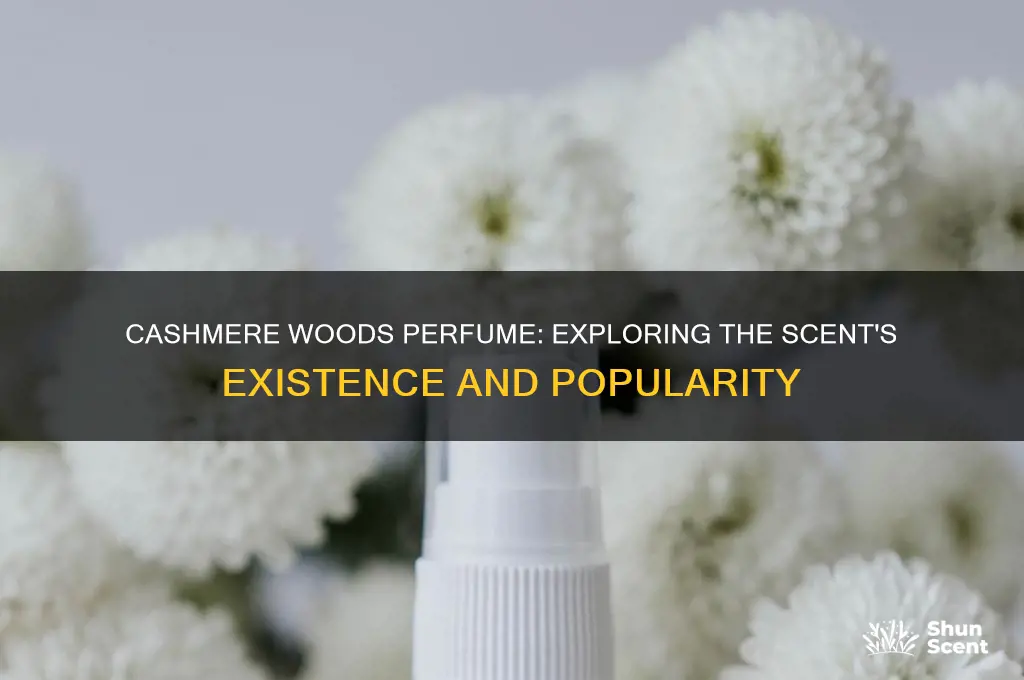is there a cashmere woods perfume