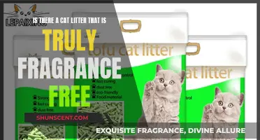 Seeking Scentless: The Quest for Fragrance-Free Cat Litter