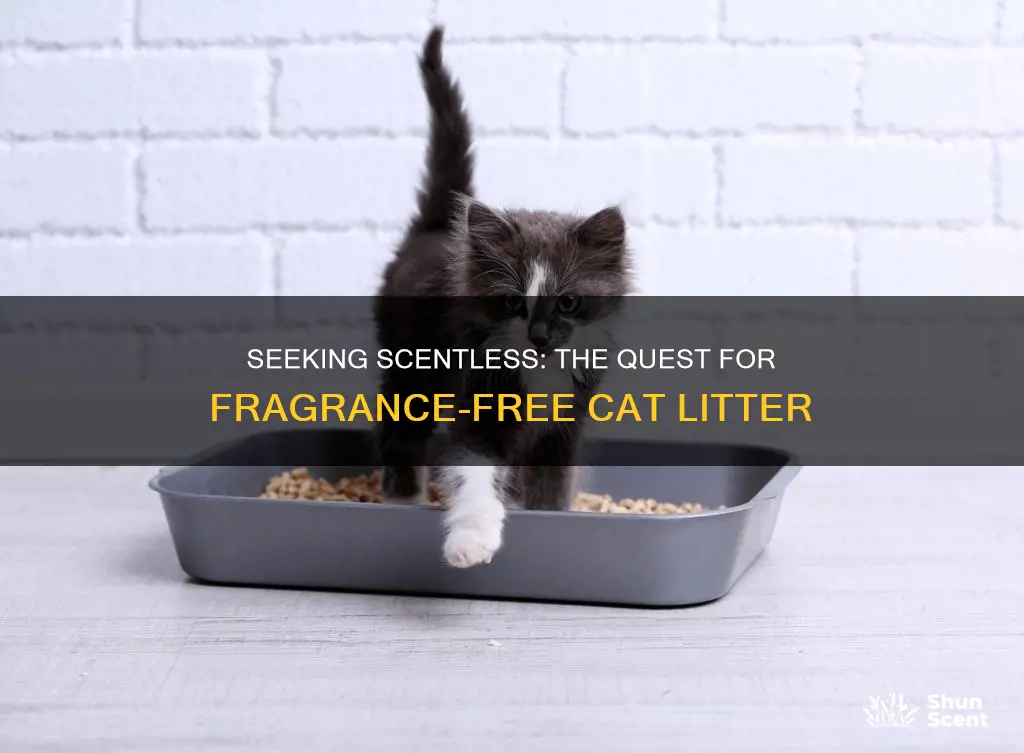 is there a cat litter that is truly fragrance free