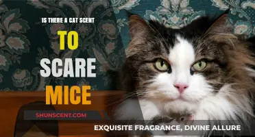 Purr-fectly Scared: Do Cats Emit a Scent to Frighten Mice?