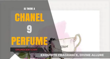 Chanel 9 Perfume: Myth or Reality? Exploring the Fragrance Mystery
