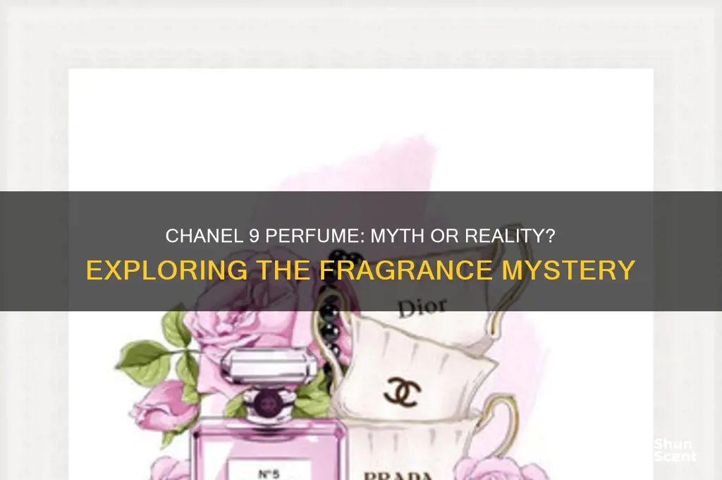 is there a chanel 9 perfume