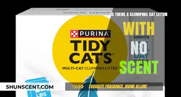 Exploring Scent-Free Clumping Cat Litter Options