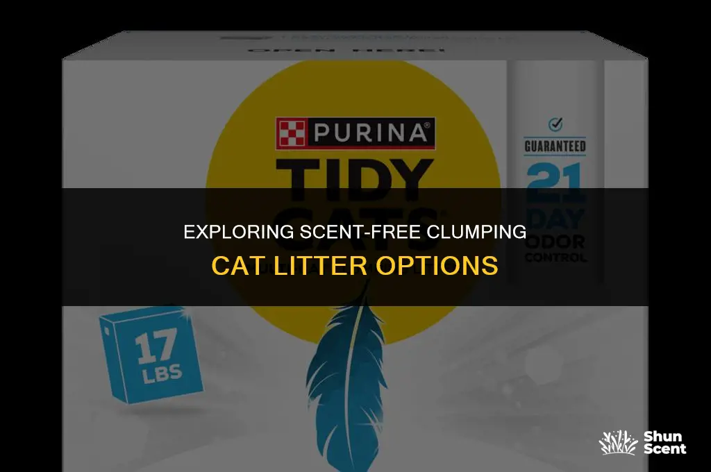 is there a clumping cat litter with no scent